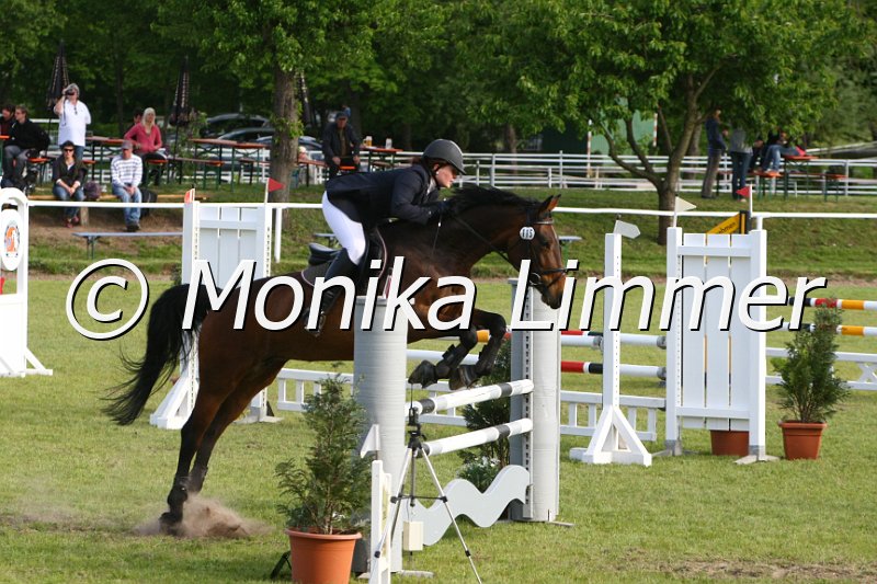 204M1921_Dori_Stil Axx.JPG